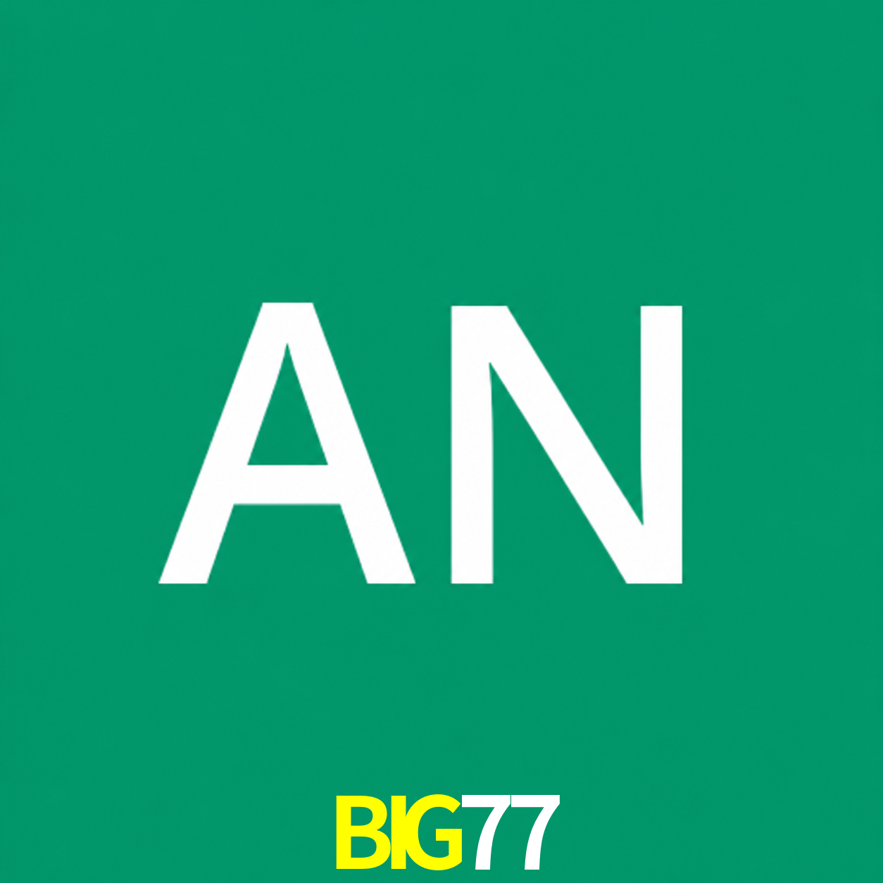 Adi Nugroho - Founder & CEO BIG77 Indonesia